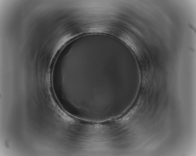 X0000097640992200802291400