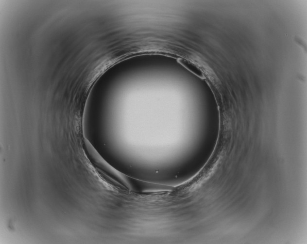 X0000097640993200802291400