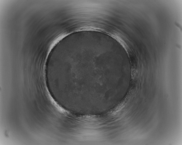 X0000097640995200802291400