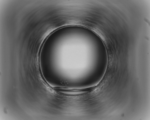 X0000097640996200802291400