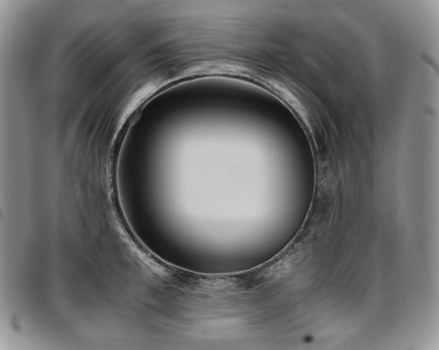 X0000097640997200802291400