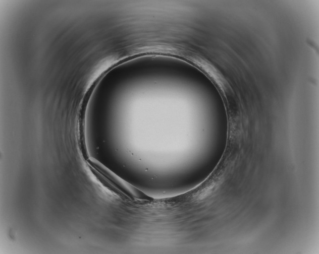 X0000097640999200802291400