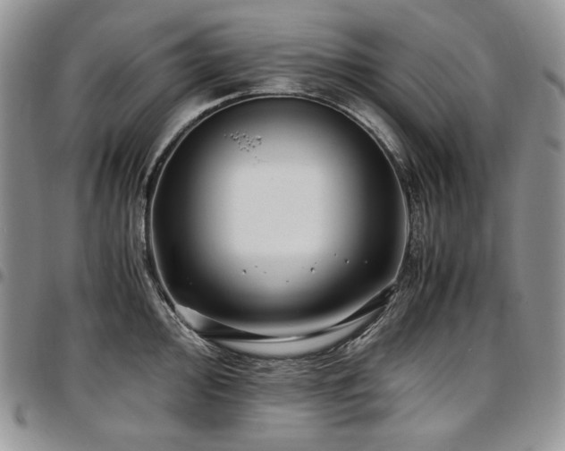 X0000097641000200802291400