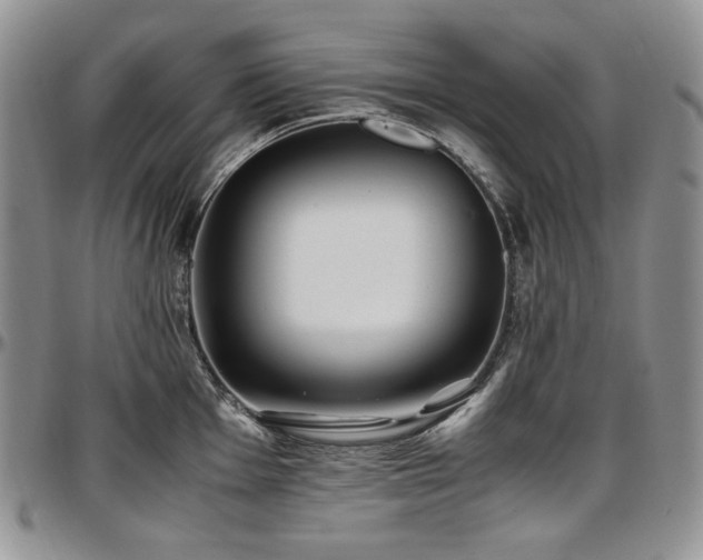 X0000097641001200802291400
