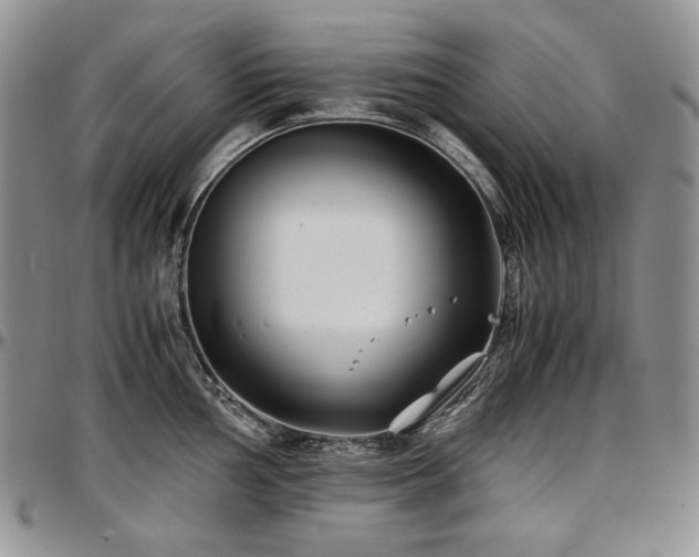 X0000097641002200802291400