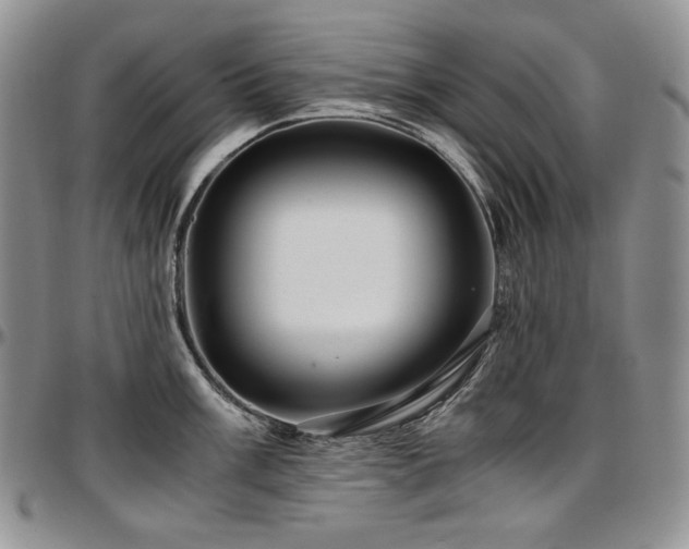 X0000097641003200802291400