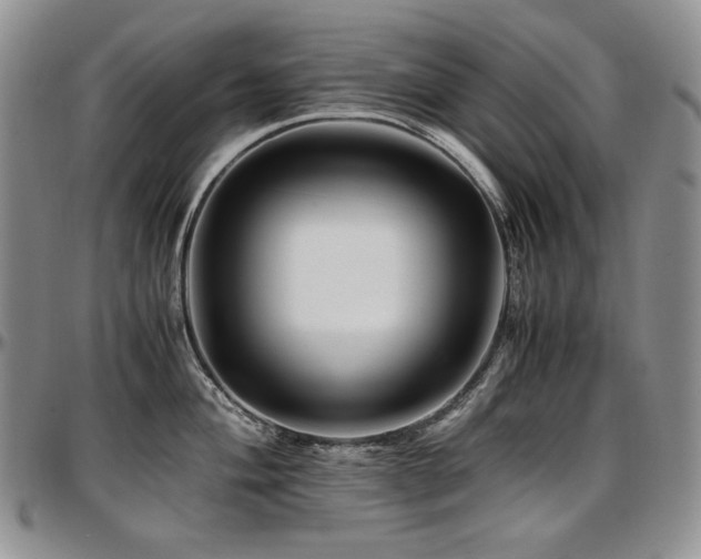 X0000097641004200802291400