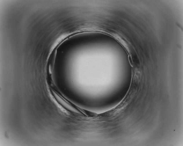 X0000097641005200802291400