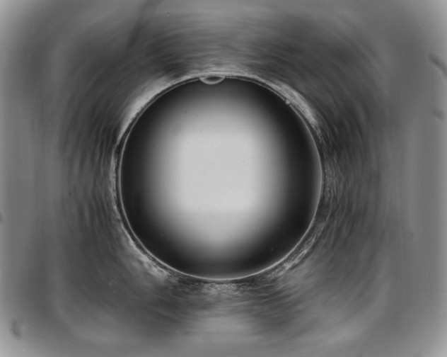 X0000097641006200802291400