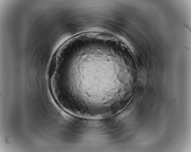 X0000097641007200802291400
