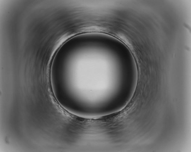 X0000097641008200802291400