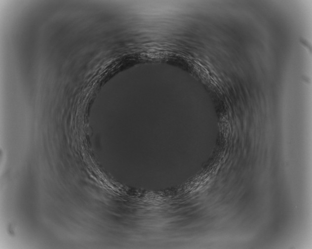 X0000097641009200802291359