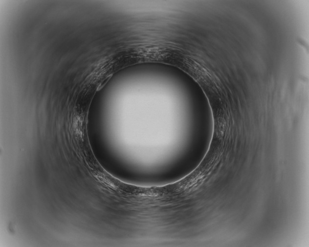 X0000097641010200802291359