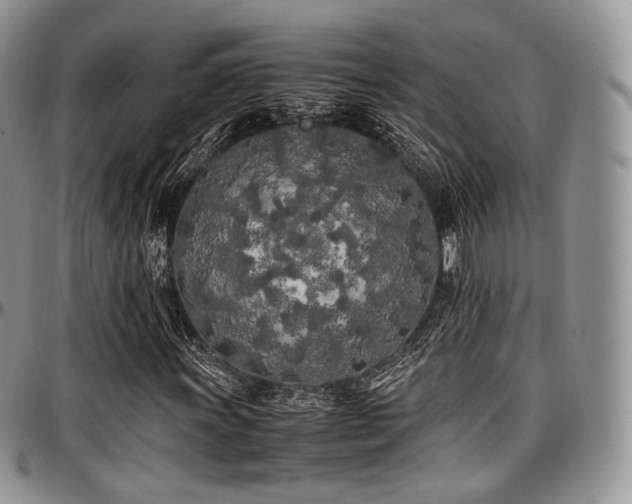 X0000097641011200802291359