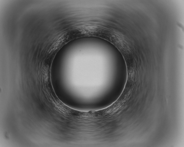 X0000097641012200802291359