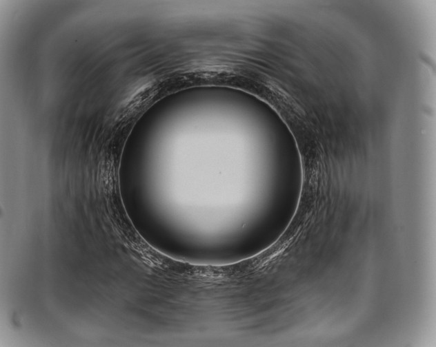 X0000097641014200802291359