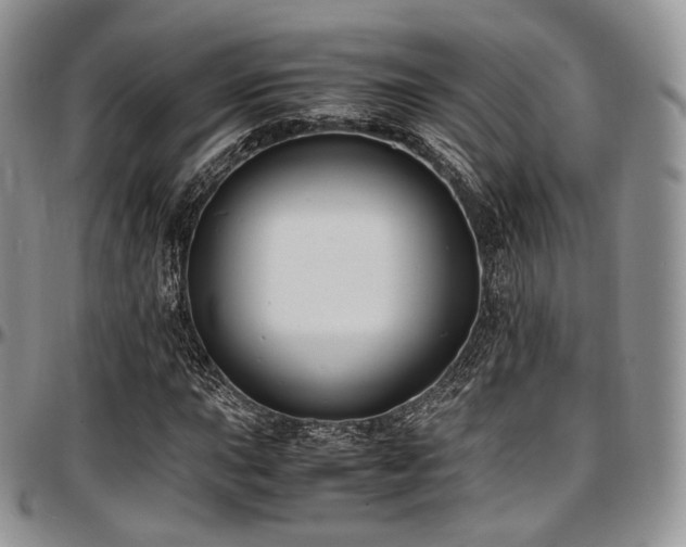 X0000097641015200802291359
