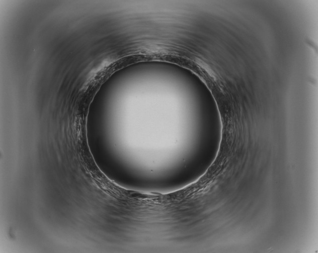 X0000097641016200802291359