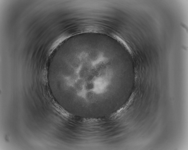 X0000097641019200802291359