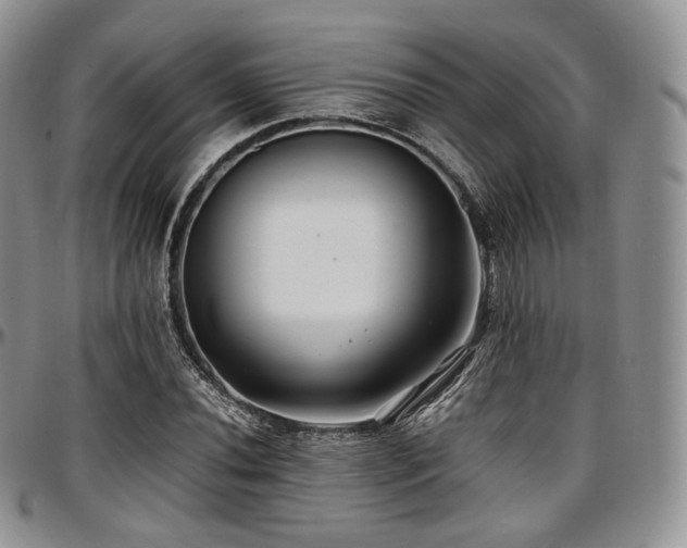X0000097641020200802291359