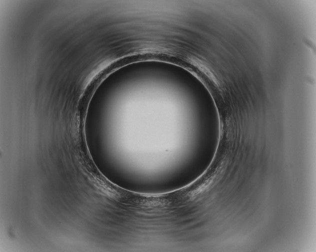 X0000097641021200802291359