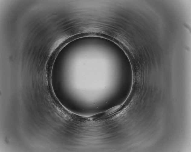 X0000097641022200802291359
