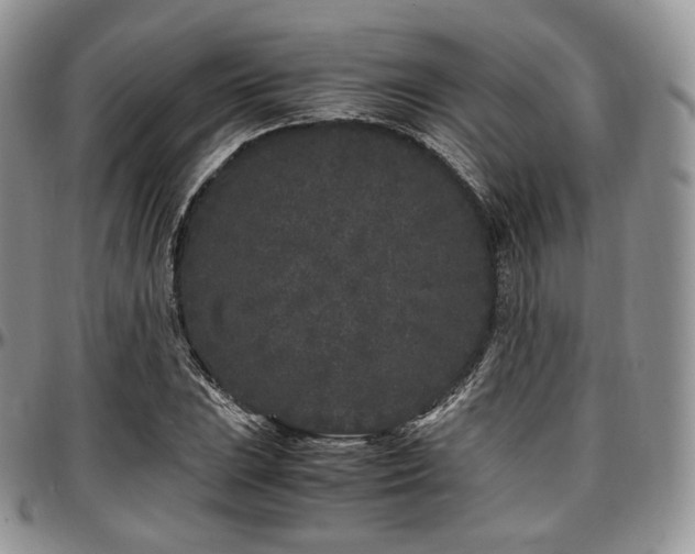 X0000097641023200802291359