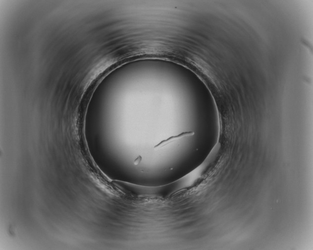 X0000097641026200802291359