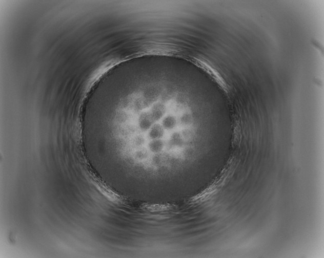 X0000097641027200802291359