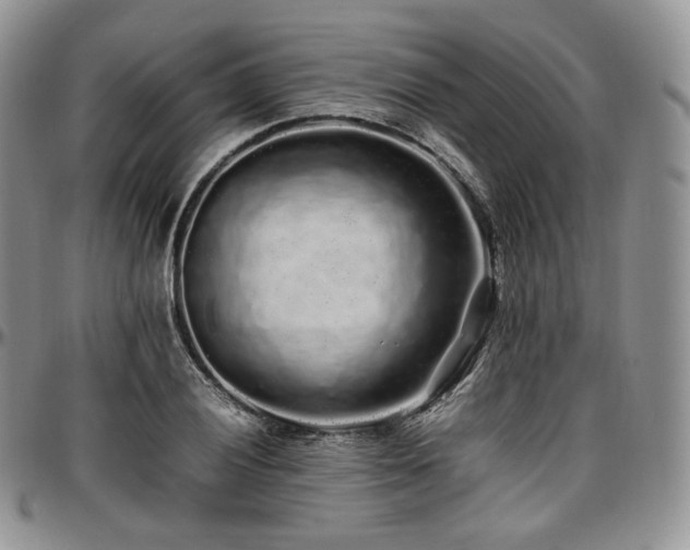 X0000097641028200802291359