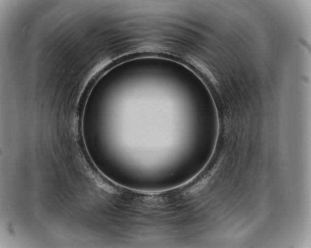 X0000097641029200802291359