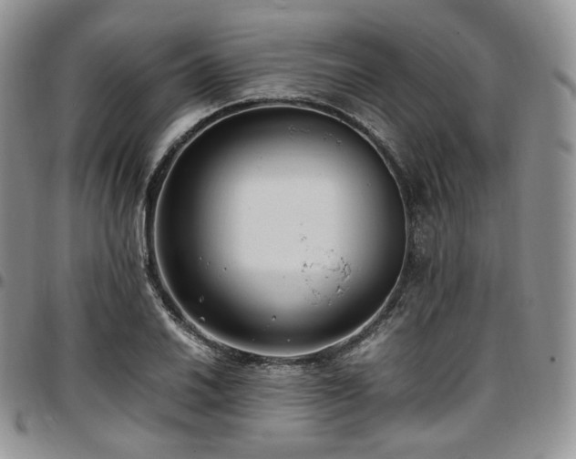X0000097641030200802291359
