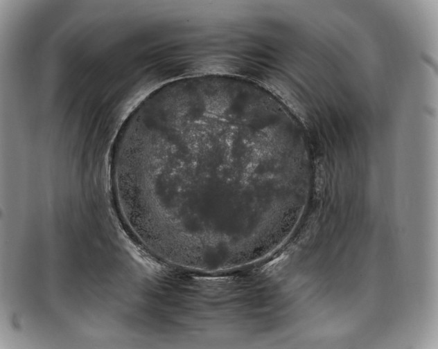X0000097641031200802291359