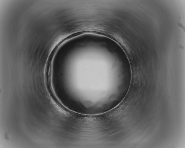 X0000097641032200802291359
