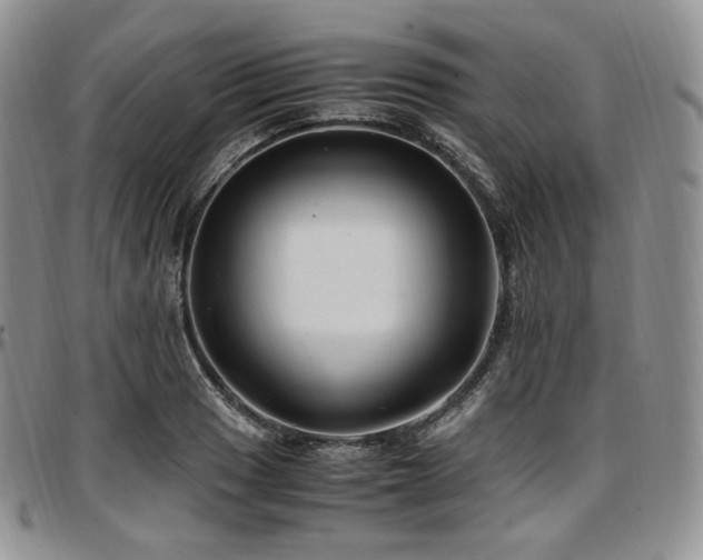 X0000097641033200802291359
