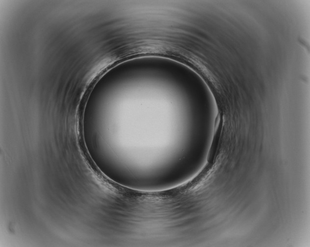 X0000097641034200802291359