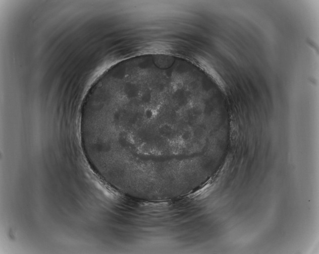 X0000097641035200802291359