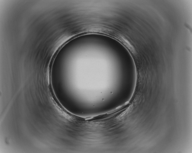 X0000097641036200802291359