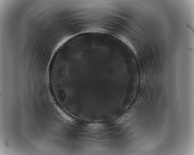 X0000097641037200802291359