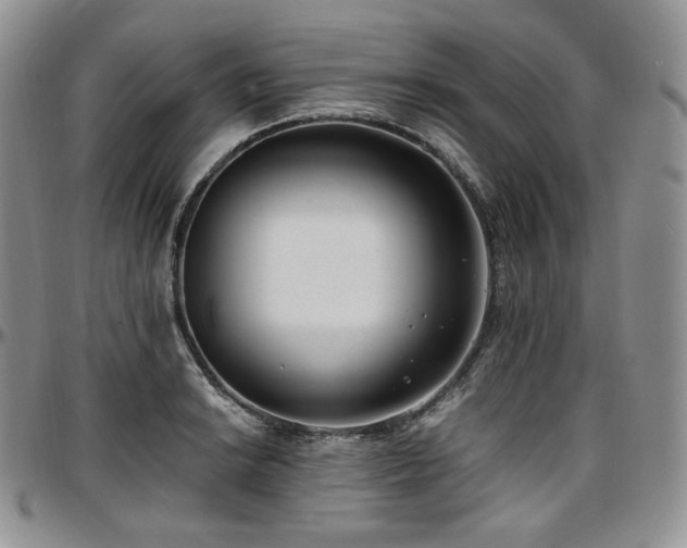 X0000097641038200802291359
