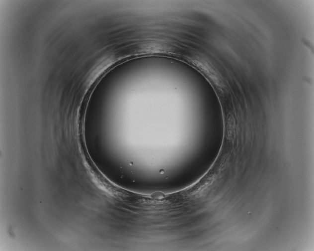 X0000097641039200802291359