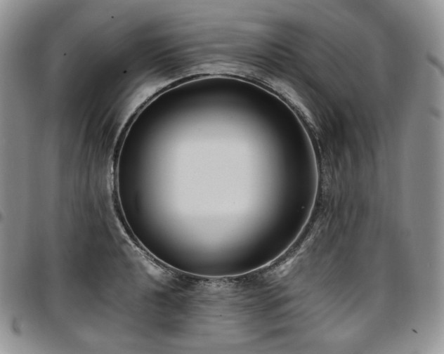 X0000097641040200802291359