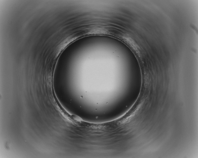 X0000097641041200802291359