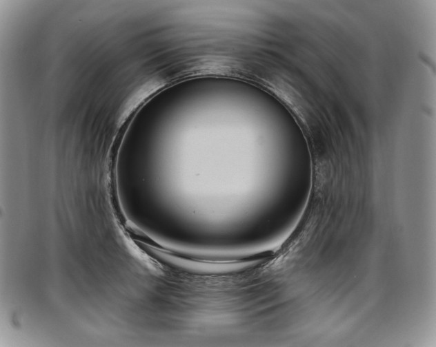 X0000097641042200802291359