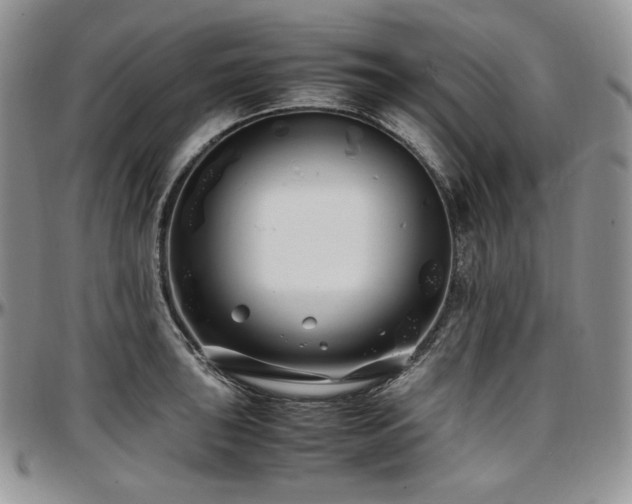 X0000097641043200802291359