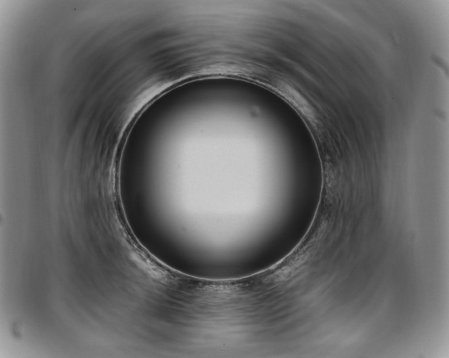 X0000097641044200802291359