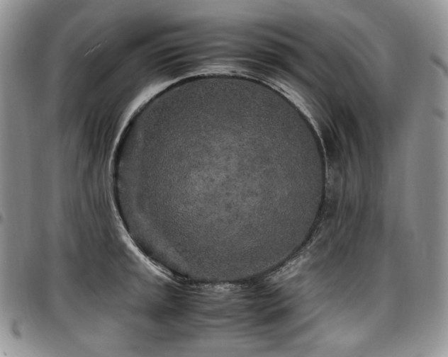 X0000097641045200802291359