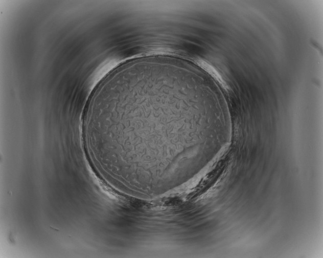 X0000097641047200802291359