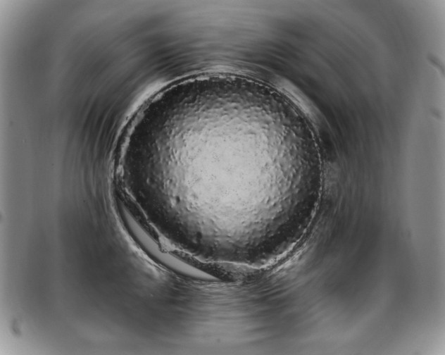 X0000097641048200802291400