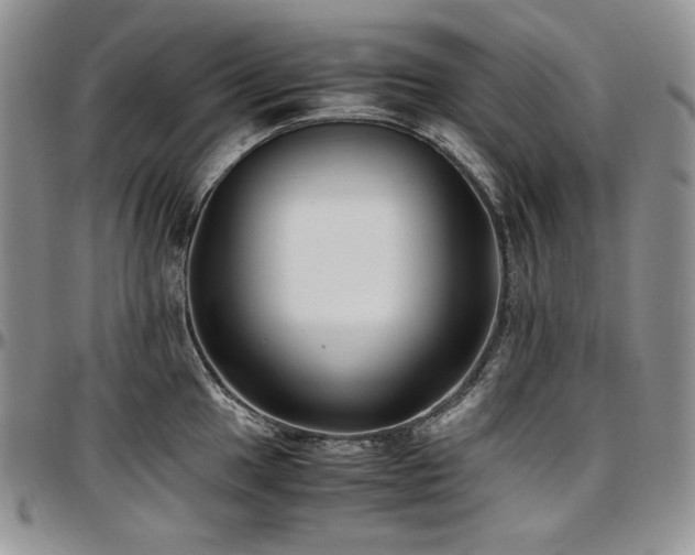 X0000097641049200802291400